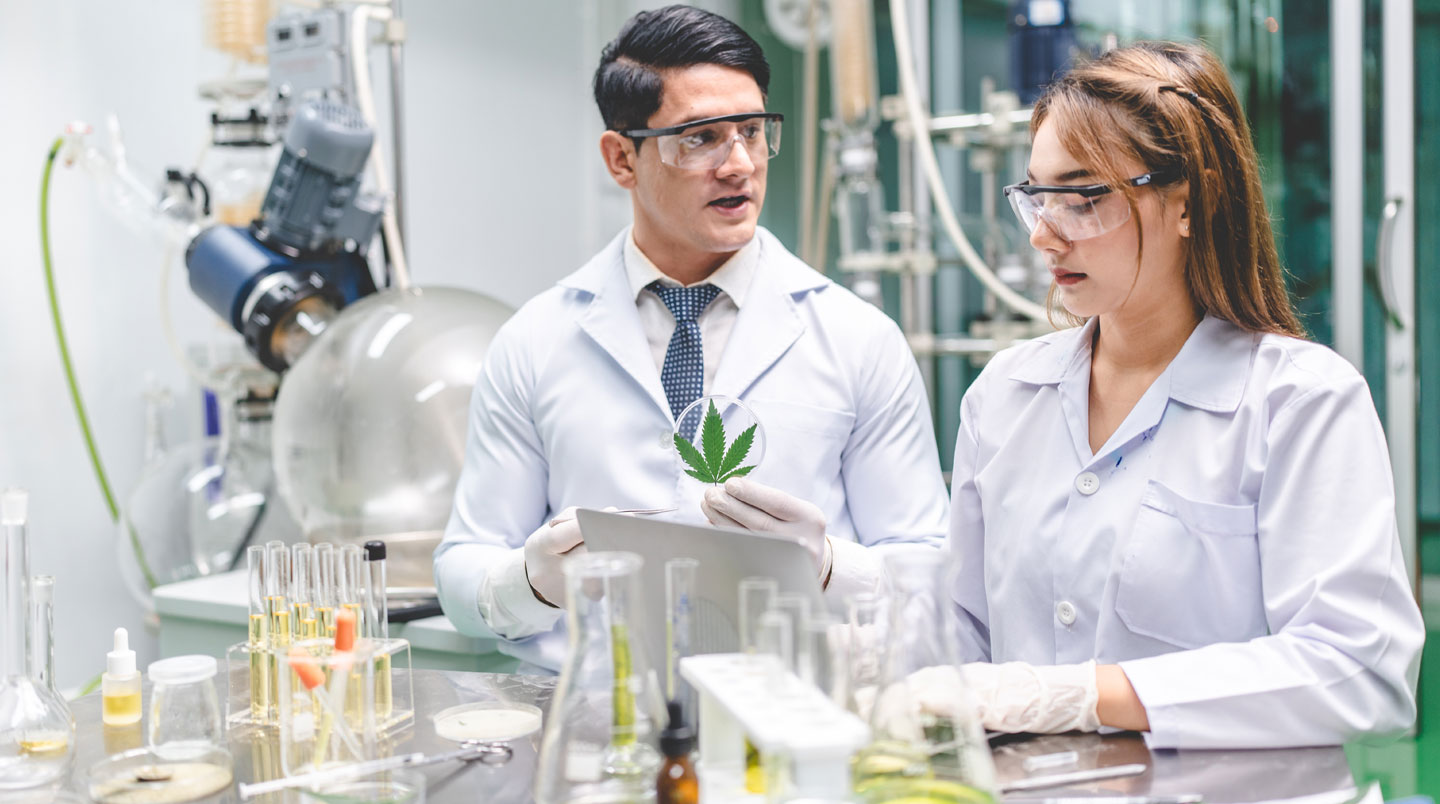 Vue en plongée d'un atelier d'extraction de CBD avec tamis professionnels et équipement moderne sous lumière naturelle